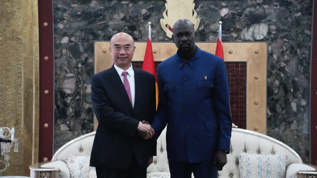 Le vice-Premier ministre chinois Liu Guozhong, également membre du Bureau politique du Comité central du Parti communiste chinois (PCC), rencontre le président guinéen Mamadi Doumbouya au bureau présidentiel à Conakry, en Guinée, le 11 novembre 2025. /VCG