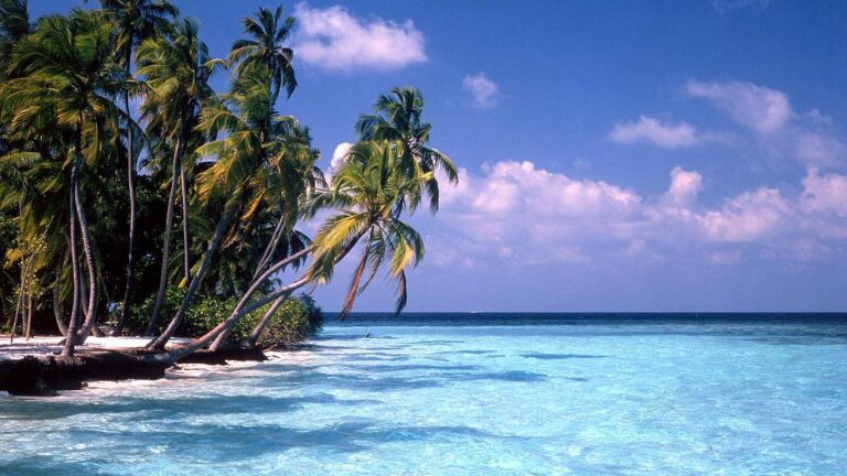 Les Maldives instaurent une « interdiction générationnelle » de fumer