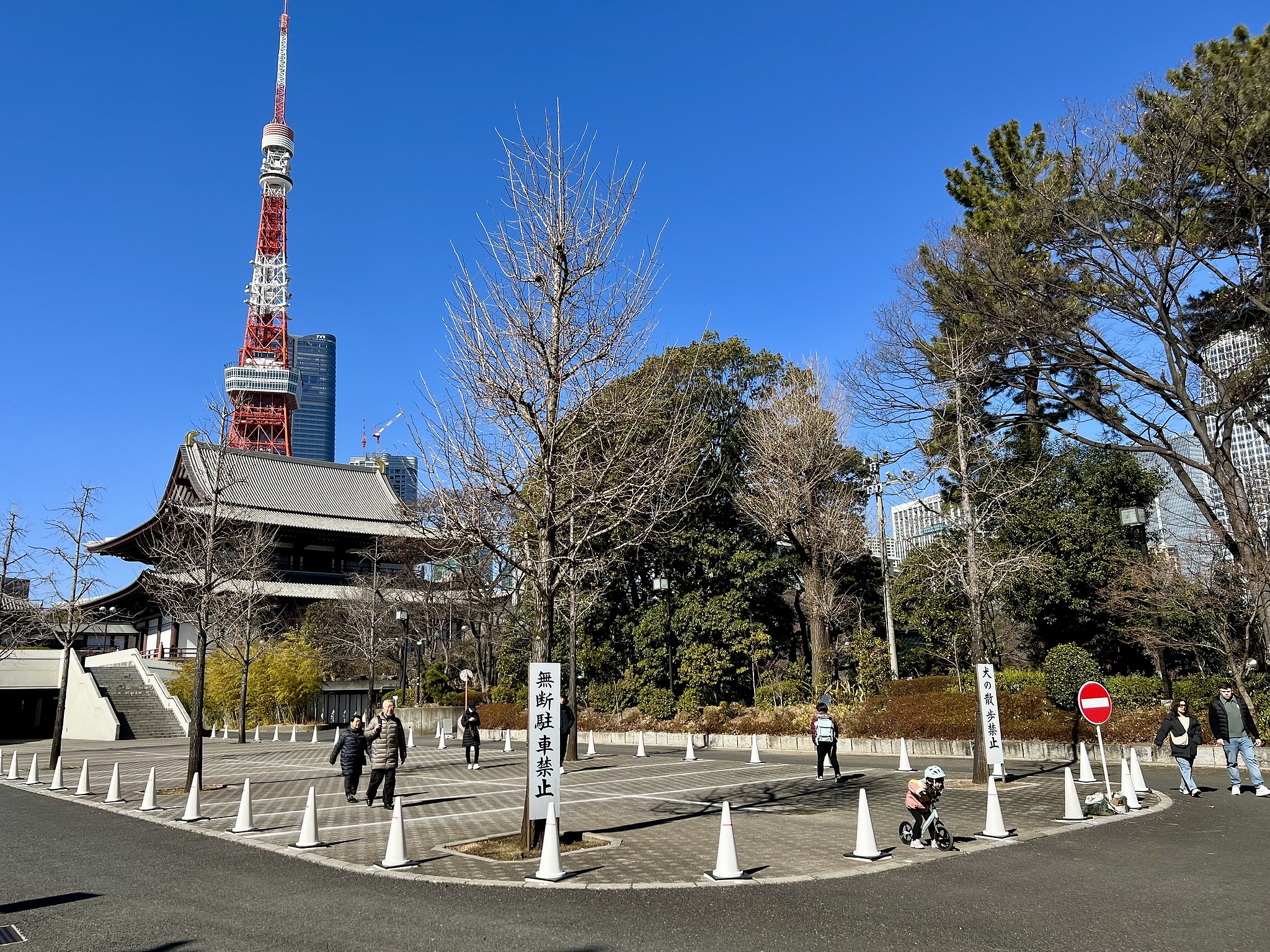 Temple Zojoji et tour de Tokyo à Tokyo, Japon, 11 février 2025. /VCG