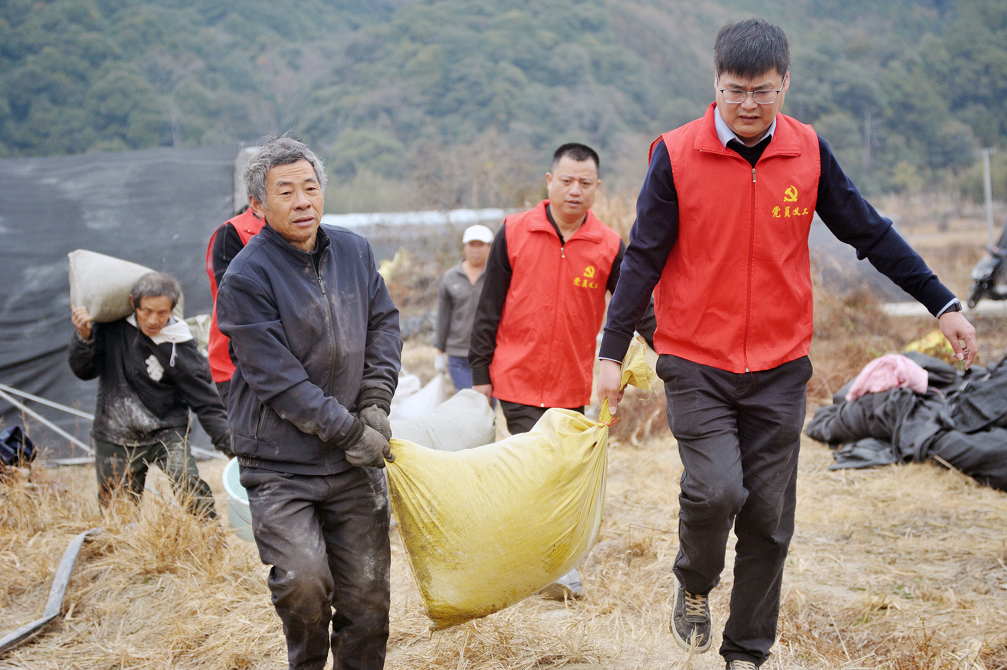 Des membres du parti aident les agriculteurs à transporter des sacs de champignons dans une ferme du village de Guihu, dans la ville de Dexing, dans la province du Jiangxi, dans l'est de la Chine, le 7 décembre 2025. /VCG