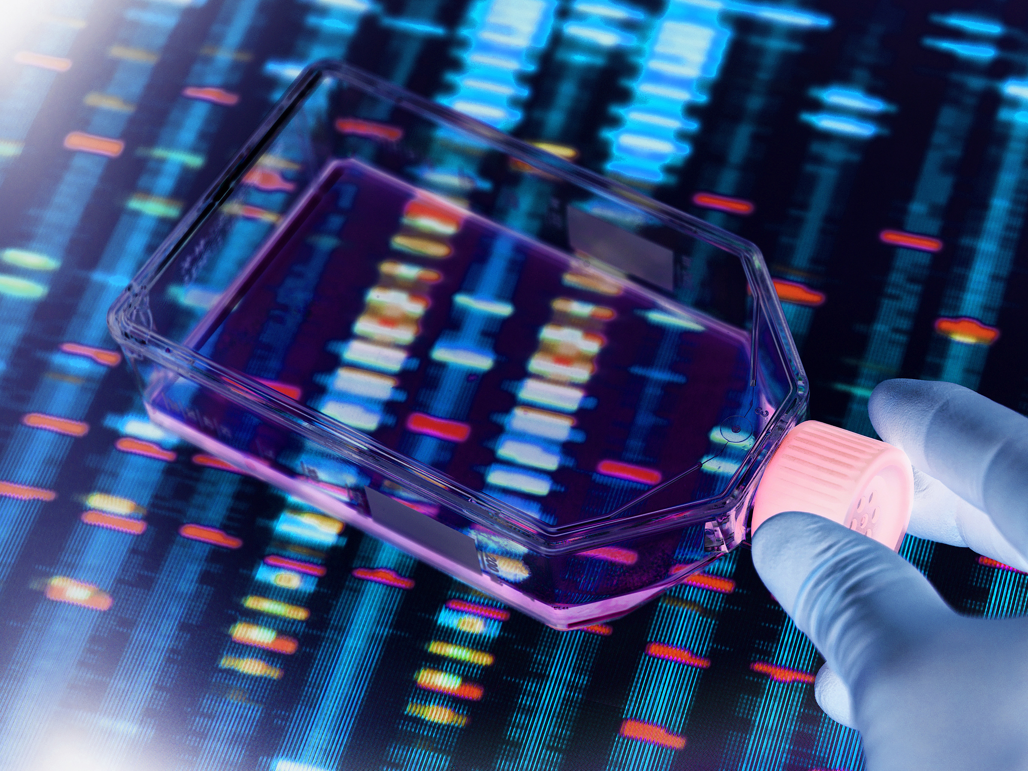 Empreintes ADN. /VCG