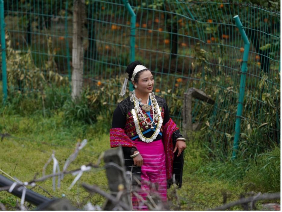 Une femme marche dans un verger d’agrumes dans un village de réinstallation de Deng, comté de Zayu, ville de Nyingchi, Xizang. /CGTN