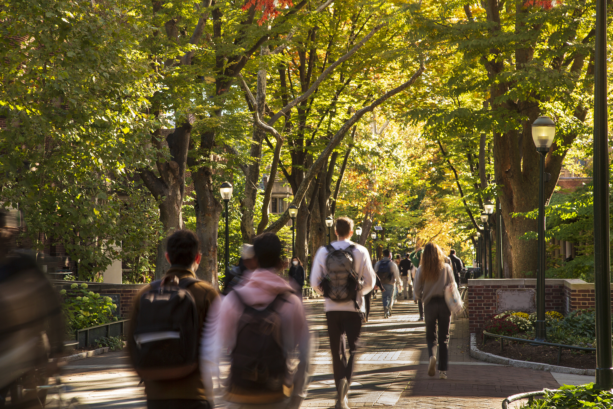 Du passe-temps à la carrière : l'essor des emplois dans l'esport en Chine
