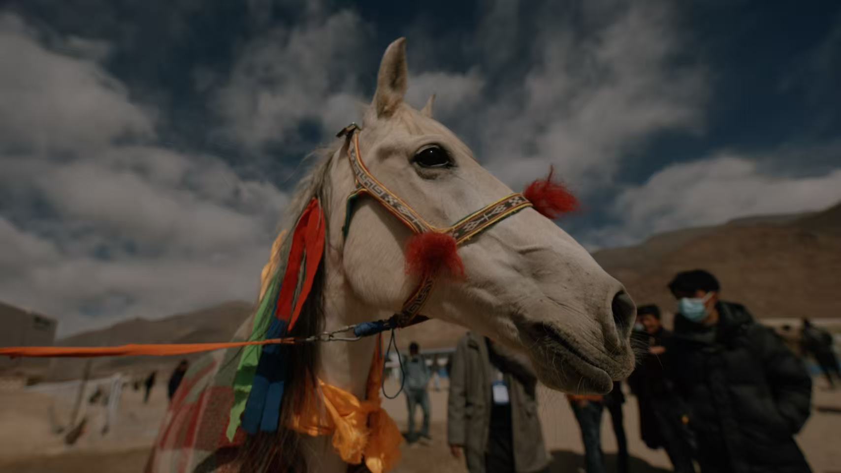 Un cheval décoré de décorations festives se dresse sur un hippodrome à Lhassa, dans la région autonome de Xizang, dans le sud-ouest de la Chine. /CGTN