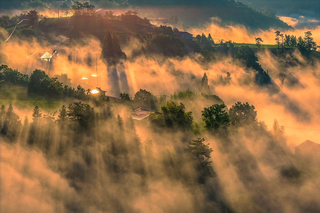 La lueur matinale brille à travers les nuages ​​et crée un effet Tyndall, Shaoxing, province du Zhejiang (est de la Chine), le 26 août 2025. /VCG