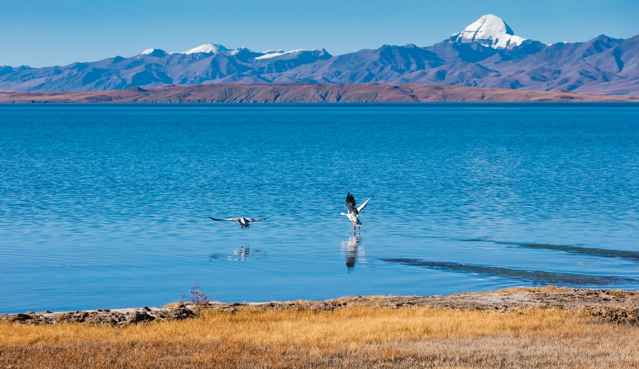 Une vue lointaine du mont Kailash depuis le lac Mapam Yumco, préfecture de Ngari, région autonome chinoise de Xizang. /VCG