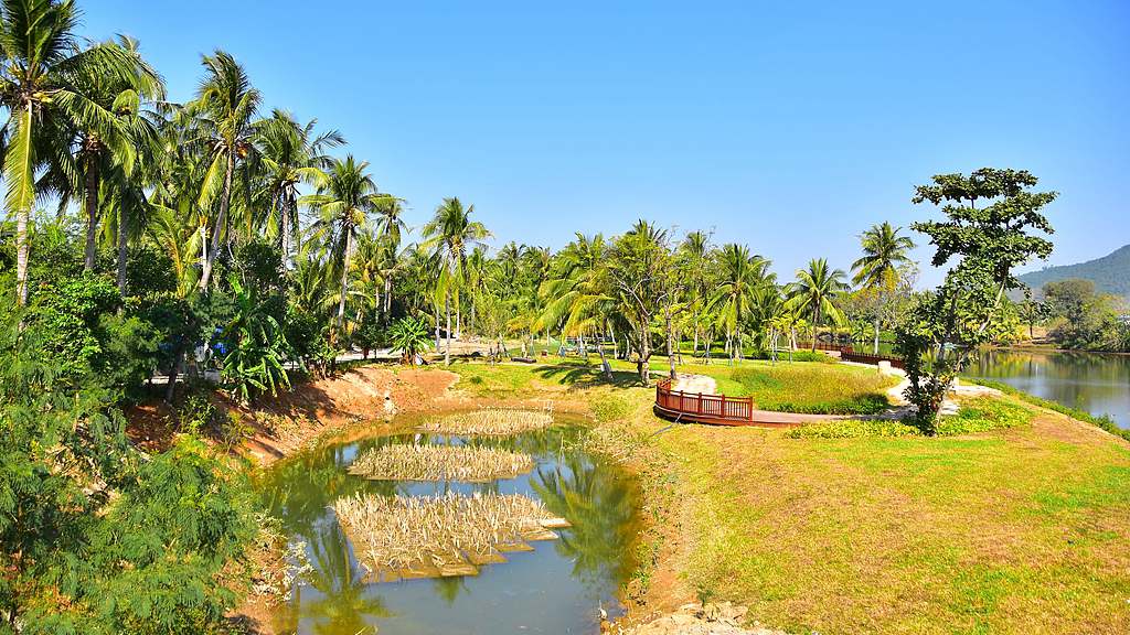 La restauration écologique d'une rivière locale à Sanya, Hainan montre des résultats prometteurs, 8 janvier 2026. /VCG