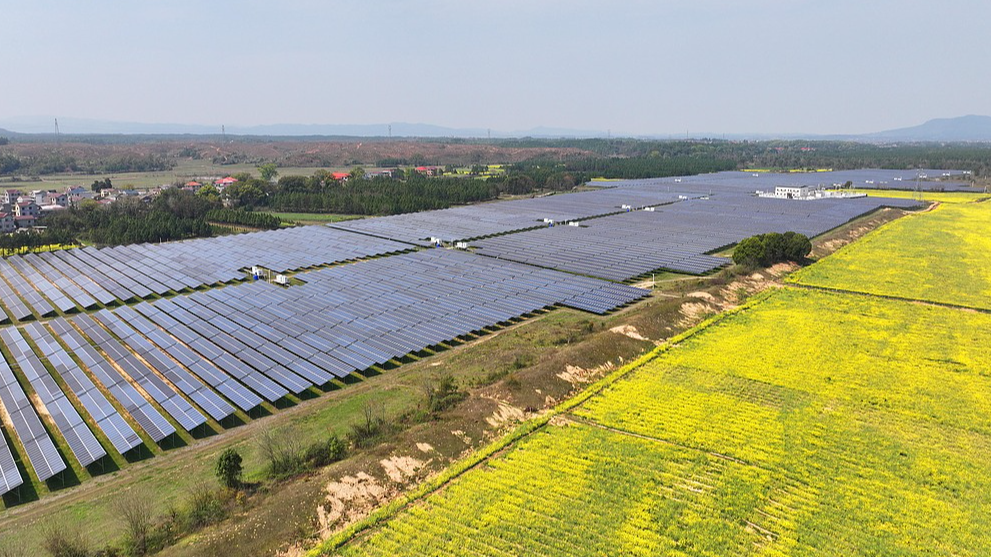 Des panneaux photovoltaïques bleus forment un paysage époustouflant alors qu'ils se reflètent sur la mer dorée de fleurs de colza en fleurs dans la province du Jiangxi, dans l'est de la Chine, le 15 mars 2026. /VCG