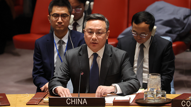 Une photo d'archive du représentant permanent adjoint de la Chine auprès de l'ONU, Sun Lei. /VCG