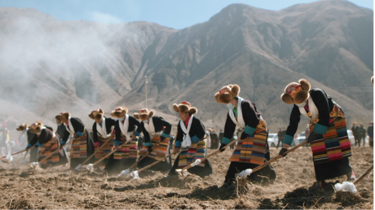 Les labours de printemps traditionnels commencent à Xizang