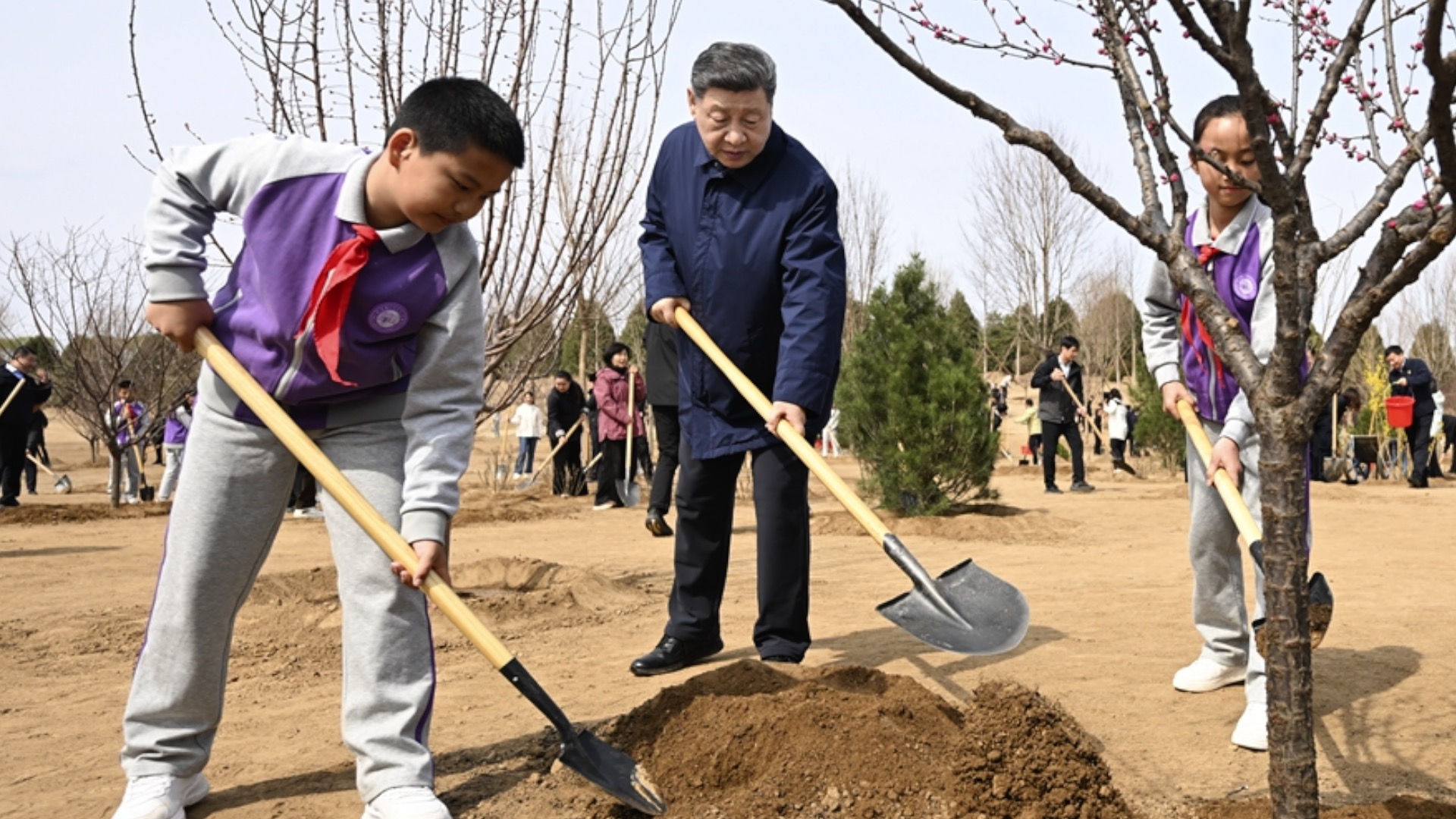 Xi Jinping appelle à mobiliser l'ensemble de la société dans les efforts de plantation d'arbres