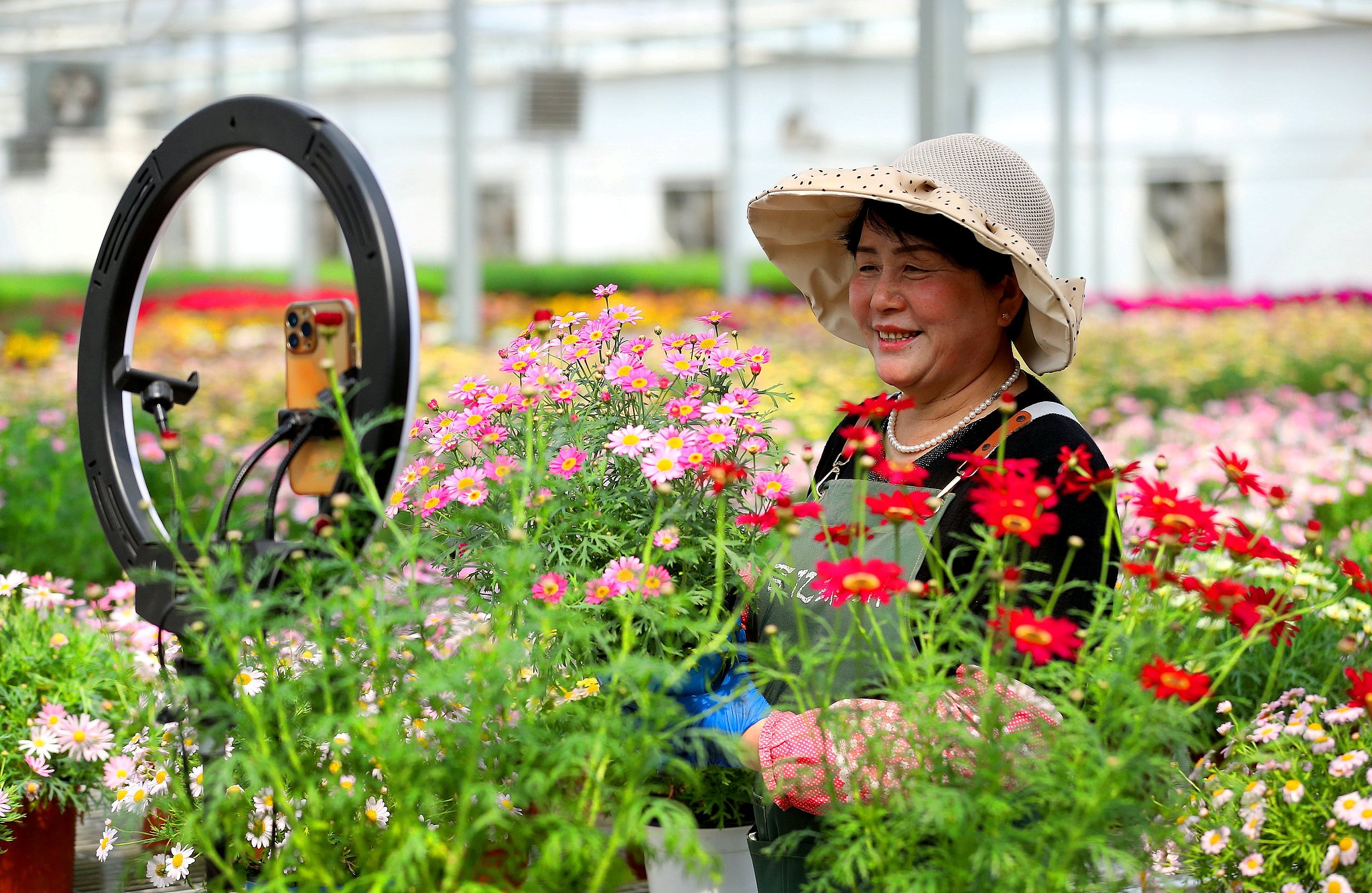 Des producteurs de fleurs vendent des fleurs via le commerce électronique et la diffusion en direct dans une base de plantation de fleurs à Qingdao, dans la province du Shandong (est de la Chine), le 13 avril 2025. /VCG