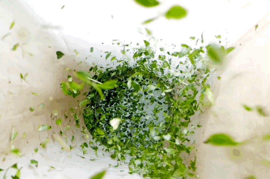 Une ligne de production est vue dans une usine de transformation de matcha. /HautGuizhou