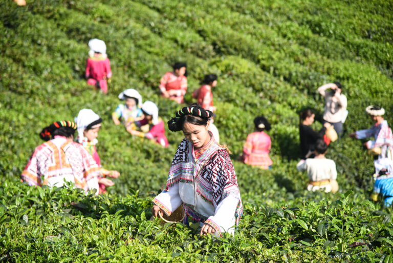Comment les zones rurales chinoises consolident les acquis de la réduction de la pauvreté