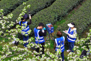 La Chine va étendre son réseau de surveillance environnementale à plus de 50 000 sites