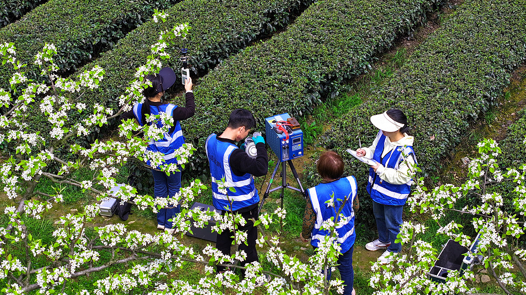 Le personnel de surveillance environnementale effectue une surveillance de la qualité de l'air et des facteurs écologiques dans la province du Hubei (centre de la Chine), le 31 mars 2026. /VCG