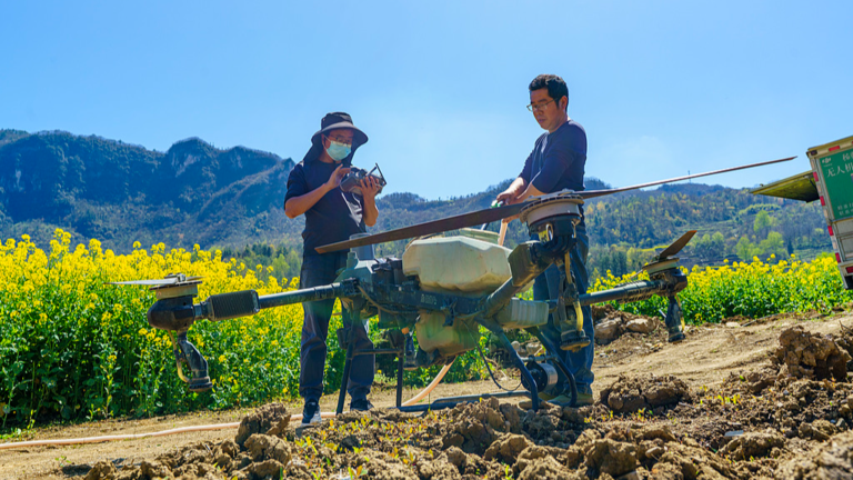 Les drones et l’IA transforment l’agriculture dans les zones rurales de Chine