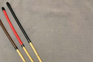 Singapore, sanctions and lashes against misconduct at school by 2027