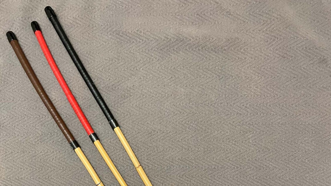 Singapore, sanctions and lashes against misconduct at school by 2027