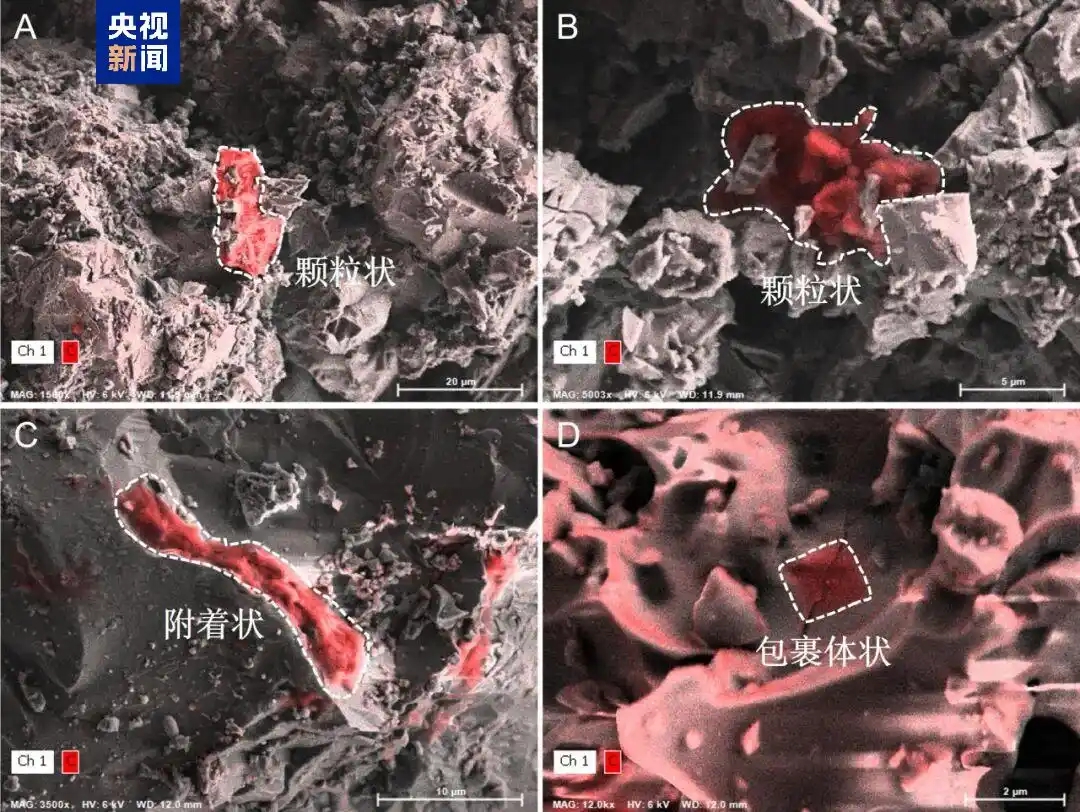 Matière organique représentative dans les échantillons de sol lunaire de Chang'e-6 (A, B) et Chang'e-5 (C, D). /CMG