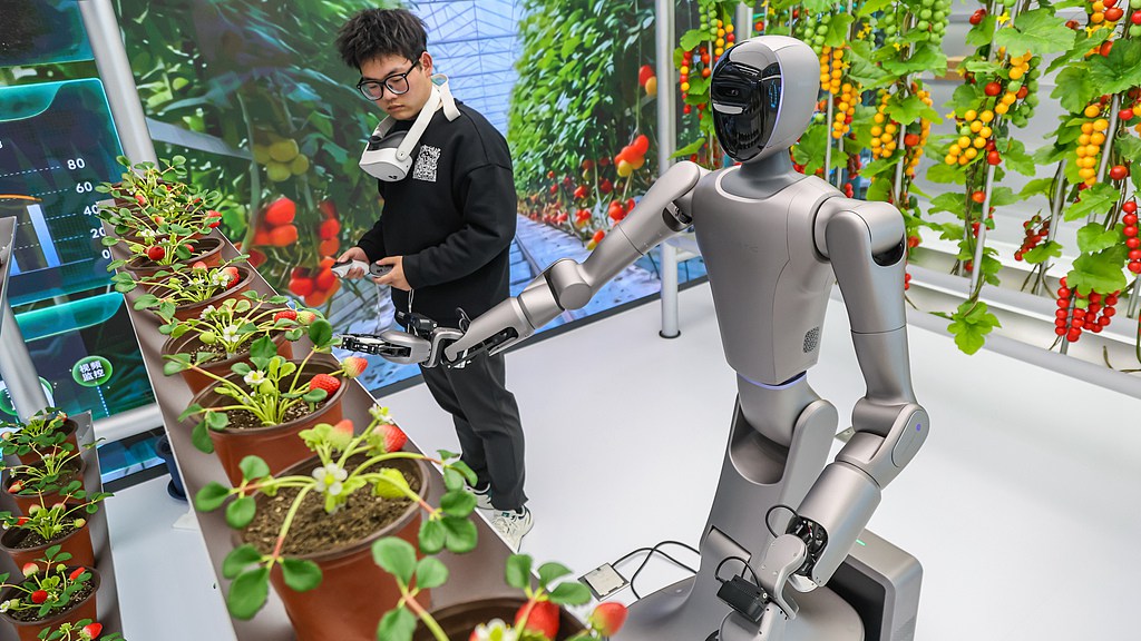 Un robot agricole effectue des tâches telles que la pollinisation et la récolte sous la direction d'un formateur utilisant un équipement de réalité virtuelle et des poignées de commande, Zhengzhou, province du Henan, le 8 mars 2026. /VCG