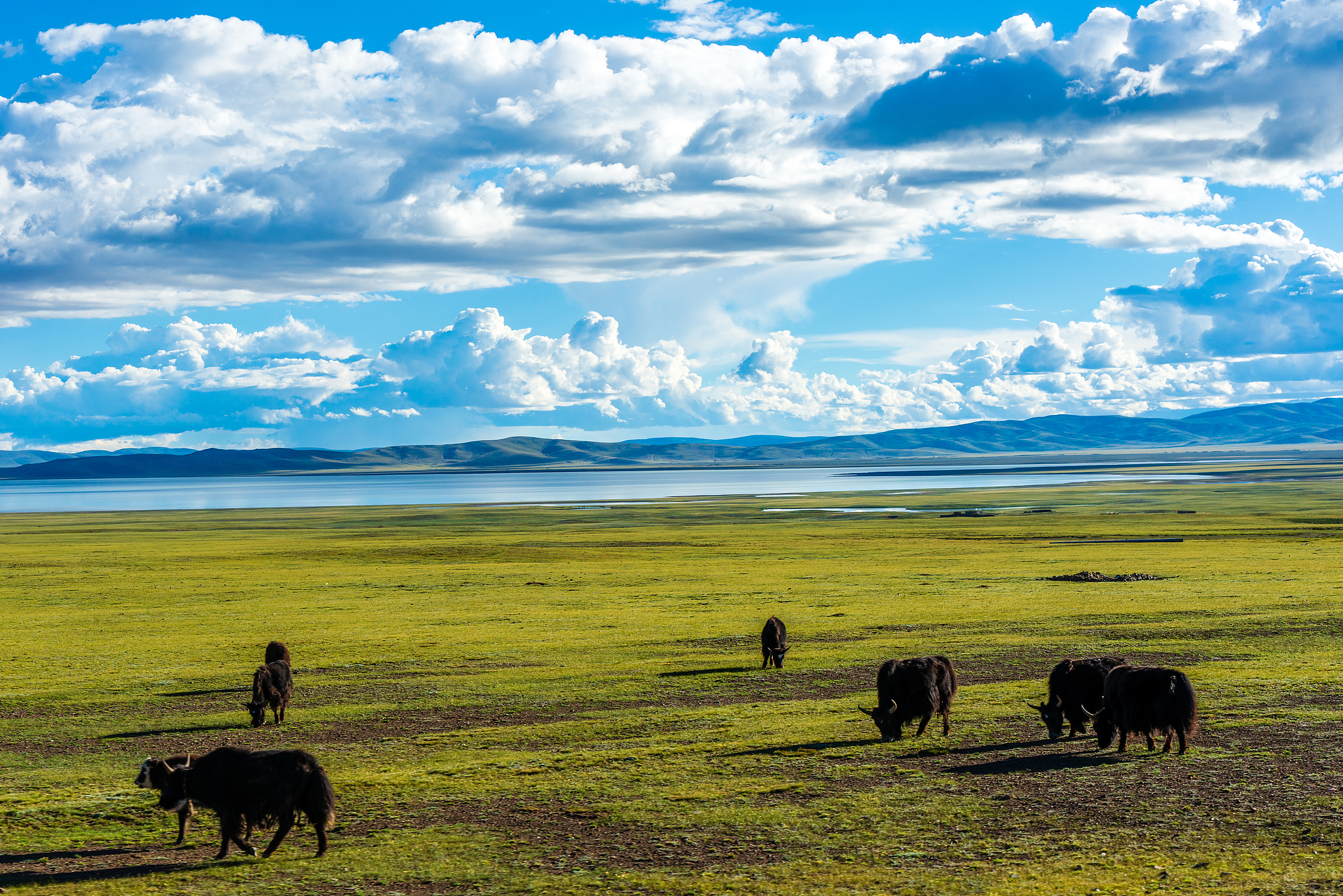 Une vue des prairies de Nagqu, dans la région autonome de Xizang, au sud-ouest de la Chine. /VCG