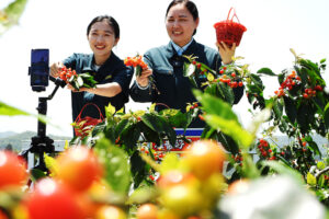 Au-delà du seuil de pauvreté : la véritable transformation de la Chine