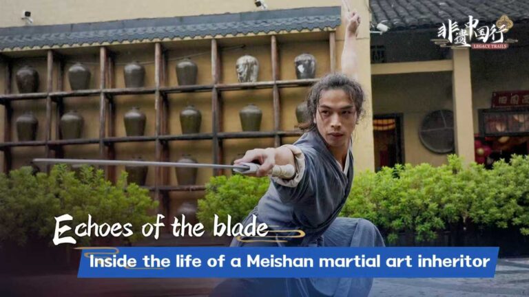 Dans la vie d'un héritier des arts martiaux Meishan
