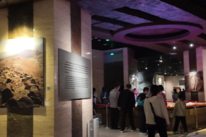 Des événements thématiques dynamiques démarrent au Musée de Ningxia pour la Journée des musées