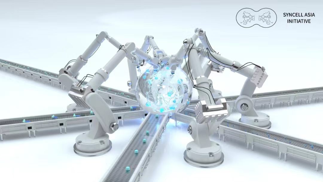 L'initiative SynCell Asia dévoile une feuille de route sur dix ans pour construire une cellule synthétique. /Instituts de technologie avancée de Shenzhen