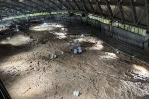 Des scientifiques chinois développent un nanorevêtement pour protéger les œufs de dinosaures