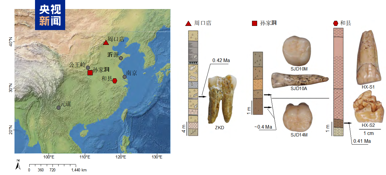Emplacements géographiques des sites d'Homo erectus du Pléistocène moyen en Chine et exemples d'informations utilisés dans cette étude. /CMG