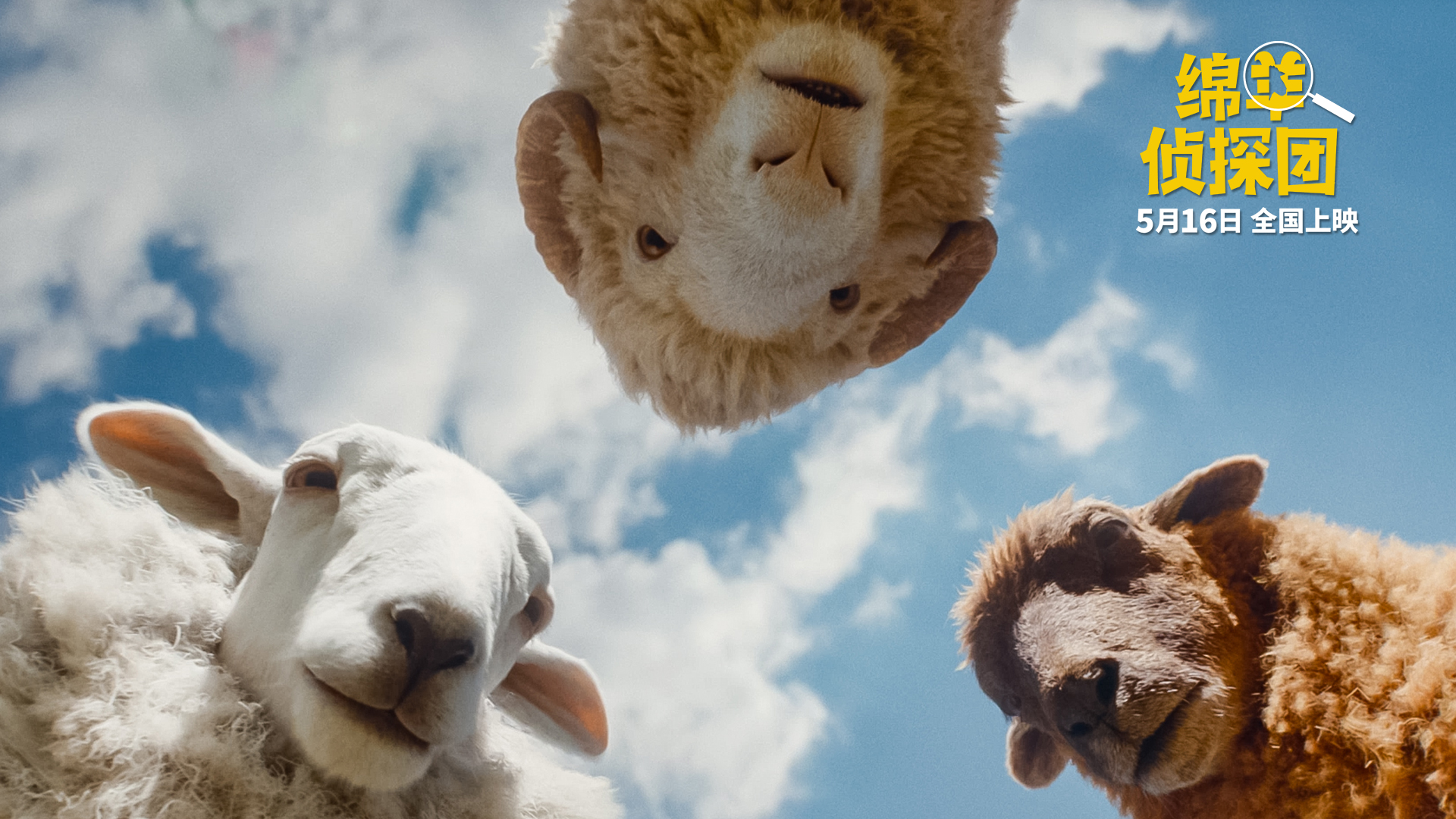 Une affiche du film montre la date de sortie en Chine de The Sheep Detectives, le samedi 16 mai 2026. / Photo fournie à CGTN