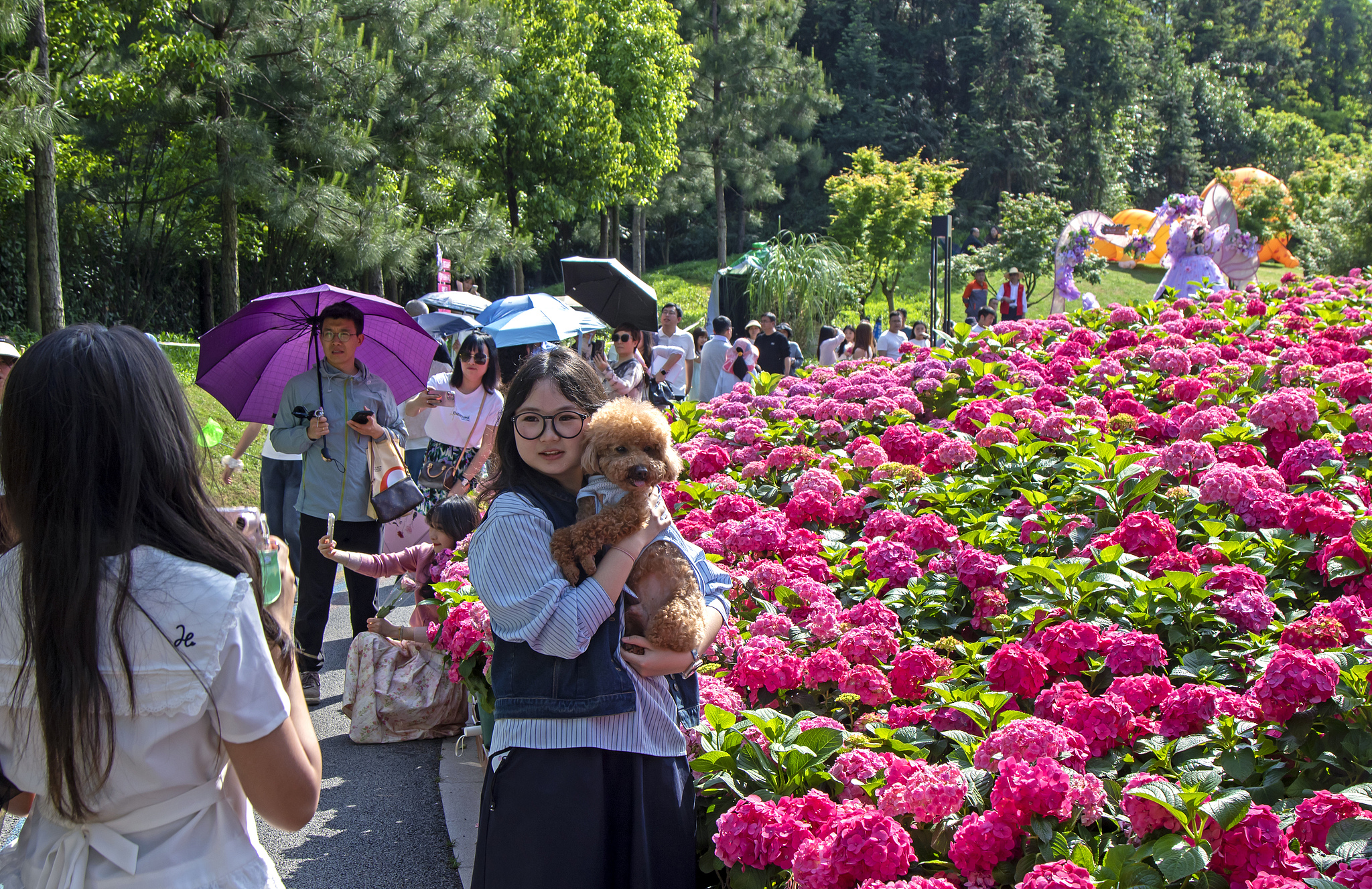 Des gens profitent de fleurs dans un parc de la ville d'Enshi, dans la province du Hubei (centre de la Chine), le 4 mai 2026. /VCG