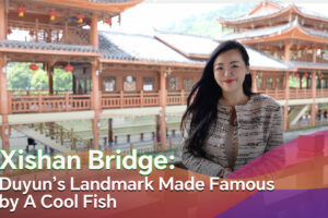 Pont Xishan : le monument de Duyun rendu célèbre par A Cool Fish
