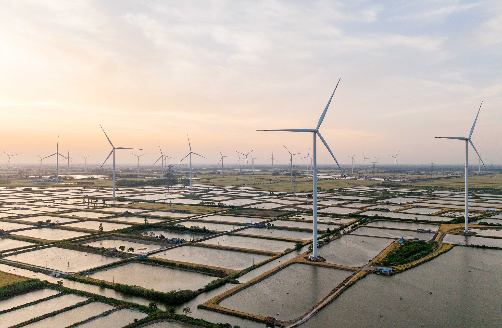 Des générateurs d'éoliennes tournent contre le vent dans des étangs à poissons, comté de Jinhu, province du Jiangsu, Chine, le 16 mai 2026. /VCG