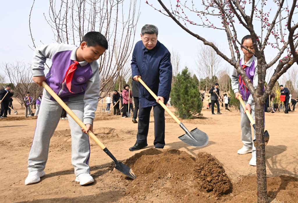 Le président chinois Xi Jinping plante un arbre lors d'une activité volontaire de plantation d'arbres dans la ville de Baishan, district de Changping, à Pékin, en Chine, le 30 mars 2026. /Xinhua