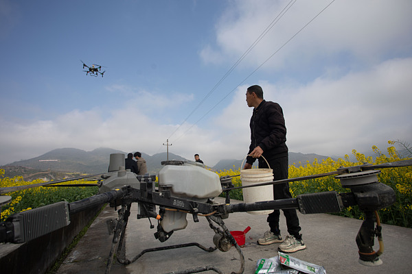 Un agriculteur local utilise un drone de protection des cultures pour les travaux de gestion des champs, Chongqing, Chine, le 10 mars 2026. /VCG