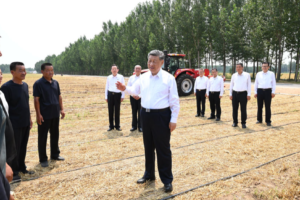 Comment la Chine transforme des récoltes exceptionnelles en prospérité durable pour les agriculteurs