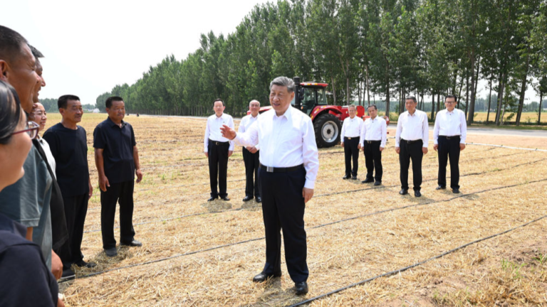Le président chinois Xi Jinping s'entretient avec des producteurs de céréales, des opérateurs de machines agricoles et des techniciens agricoles lors de sa visite d'inspection à Dezhou, province du Shandong, Chine, le 24 juin 2026. /Xinhua