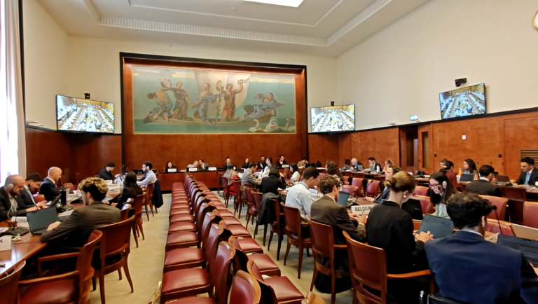 Des experts appellent à une réforme de la gouvernance des droits de l'homme lors d'une réunion de l'ONU
