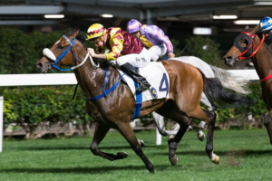 Happy Valley : bien plus que le célèbre hippodrome de Hong Kong