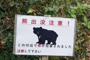 Japanese city closes 100 schools, invasion of bears emerging from hibernation