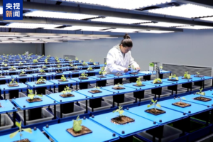 La Chine annonce des avancées majeures dans la conservation des sols noirs