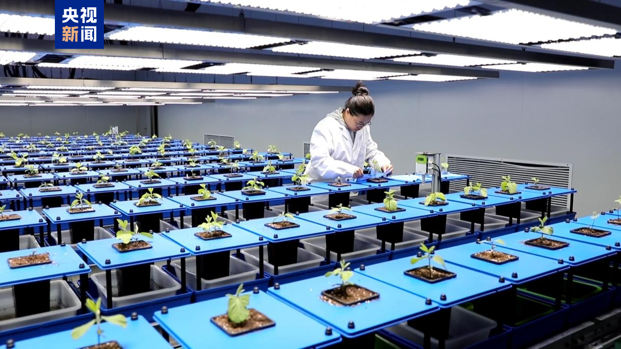 L'Académie chinoise des sciences a lancé le