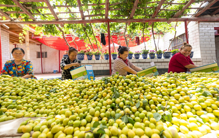 La voie des droits de l&rsquo;homme en Chine : le progrès grâce au développement