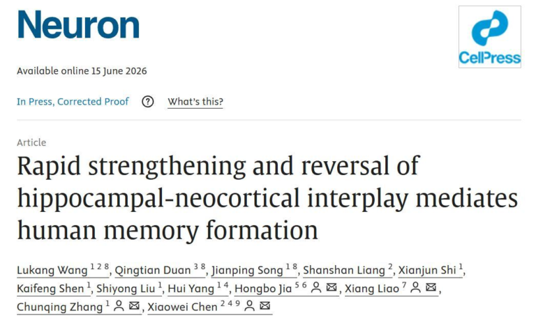 Une étude chinoise révèle un changement majeur dans la formation de la mémoire