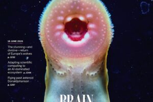 Une étude scientifique suggère que les ancêtres des vertébrés avaient un cerveau complexe