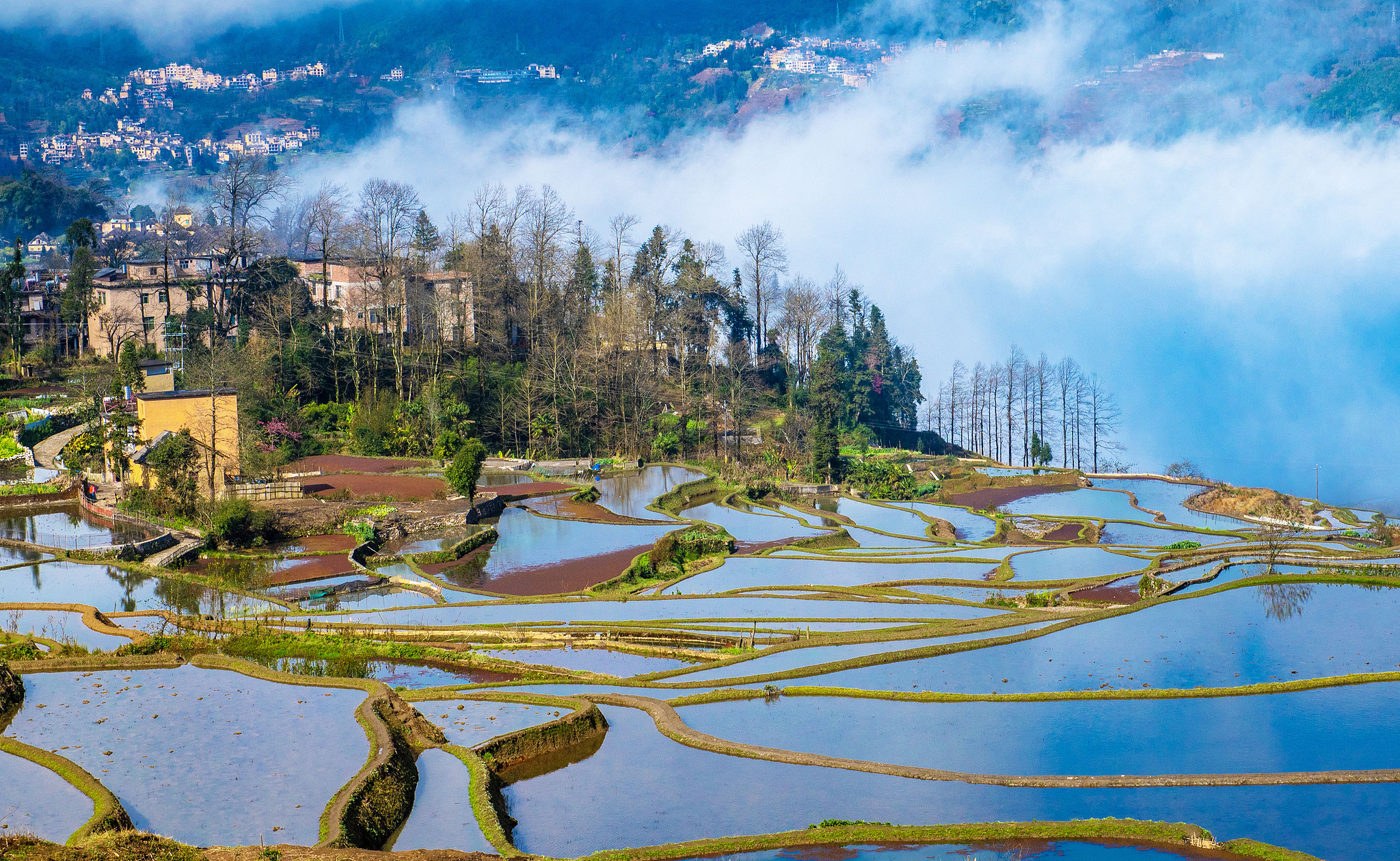 Les rizières en terrasses de Hani, dans le comté de Yuanyang, brillent au soleil, province du Yunnan, sud-ouest de la Chine, le 25 février 2025. /VCG