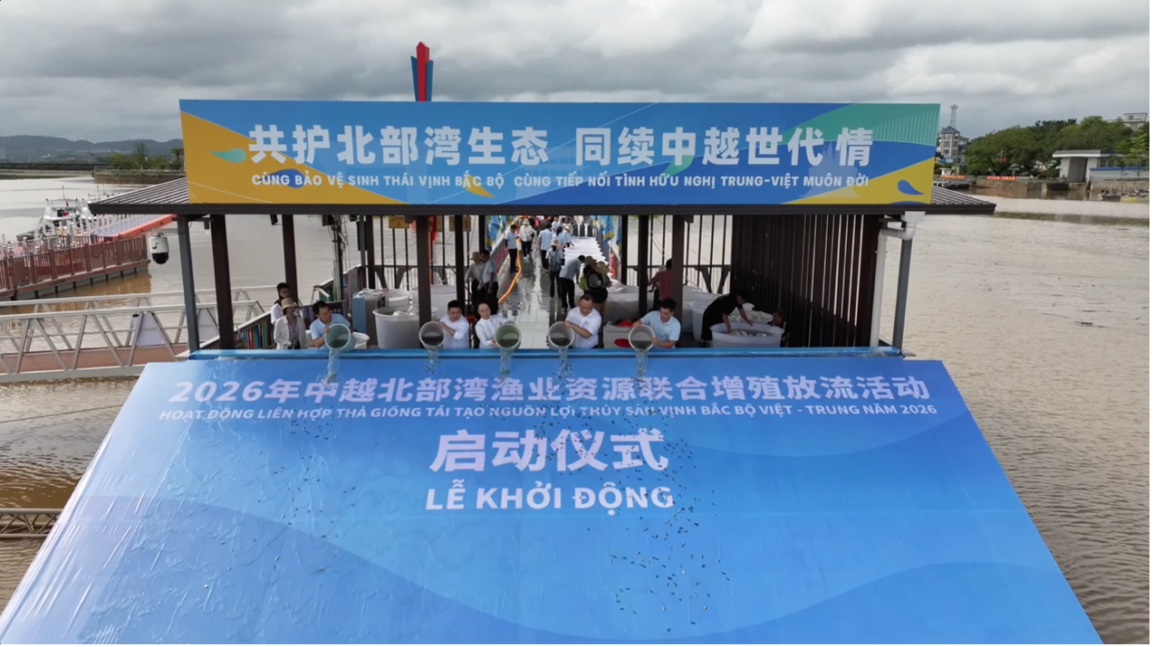 Le 19 mai 2026, la Chine et le Vietnam ont relâché conjointement 270 millions d'alevins et de géniteurs dans le golfe de Beibu pour reconstituer les ressources halieutiques marines et promouvoir le développement durable de la pêche. /CGTN